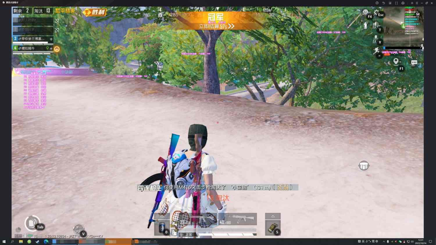 和平精英许仙辅助