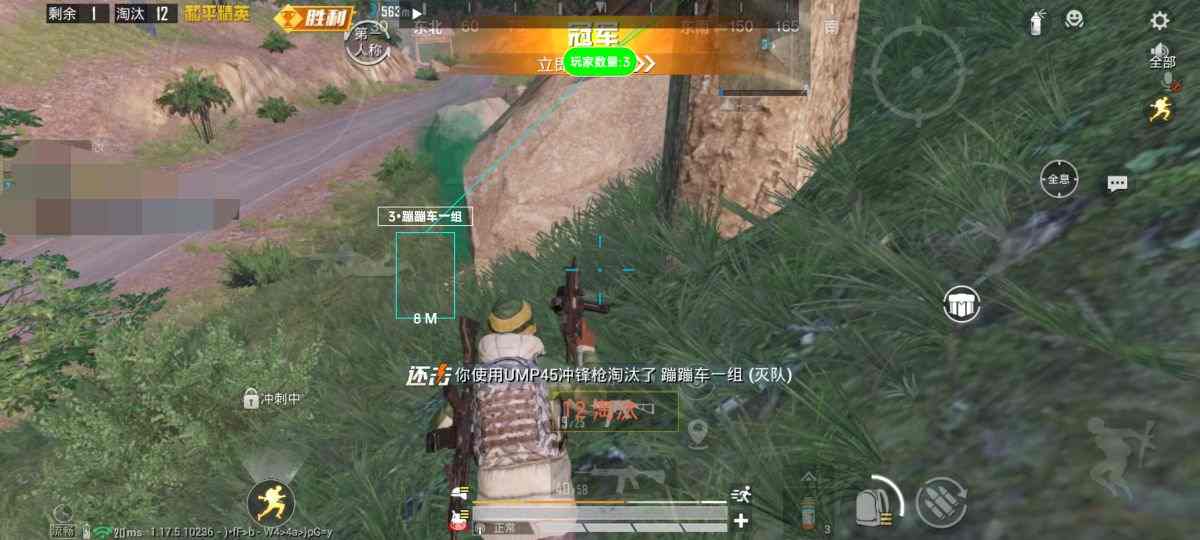 和平精英冰梨辅助